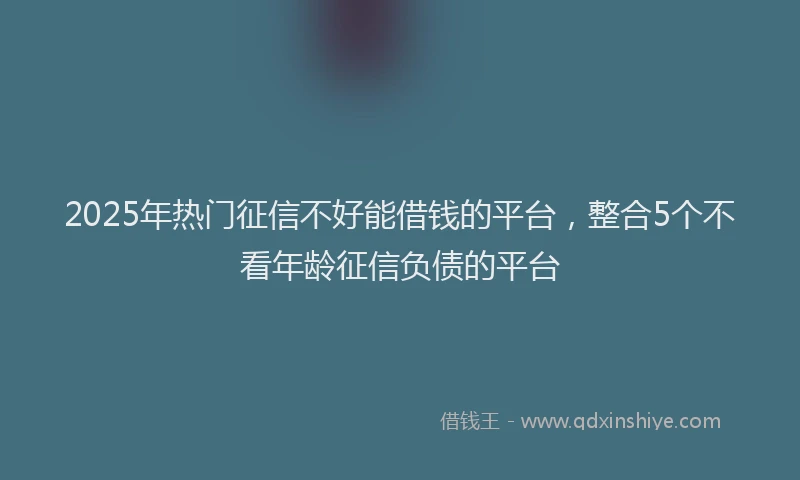 2025年热门征信不好能借钱的平台，整合5个不看年龄征信负债的平台