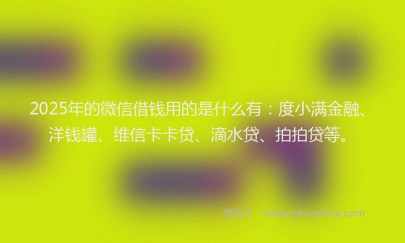 2025年的微信借钱用的是什么有：度小满金融、洋钱罐、维信卡卡贷、滴水贷、拍拍贷等。