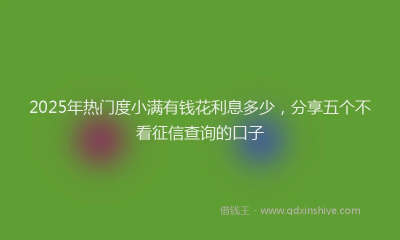 2025年热门度小满有钱花利息多少，分享五个不看征信查询的口子