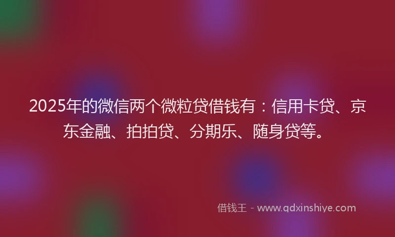 2025年的微信两个微粒贷借钱有：信用卡贷、京东金融、拍拍贷、分期乐、随身贷等。