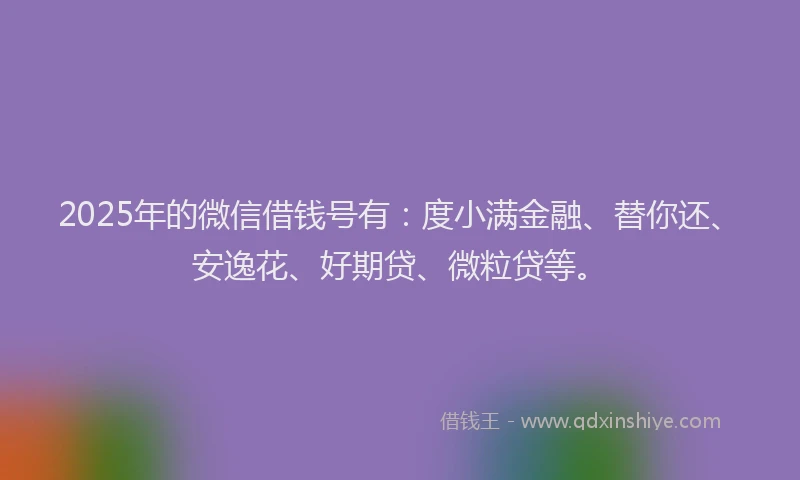 2025年的微信借钱号有：度小满金融、替你还、安逸花、好期贷、微粒贷等。