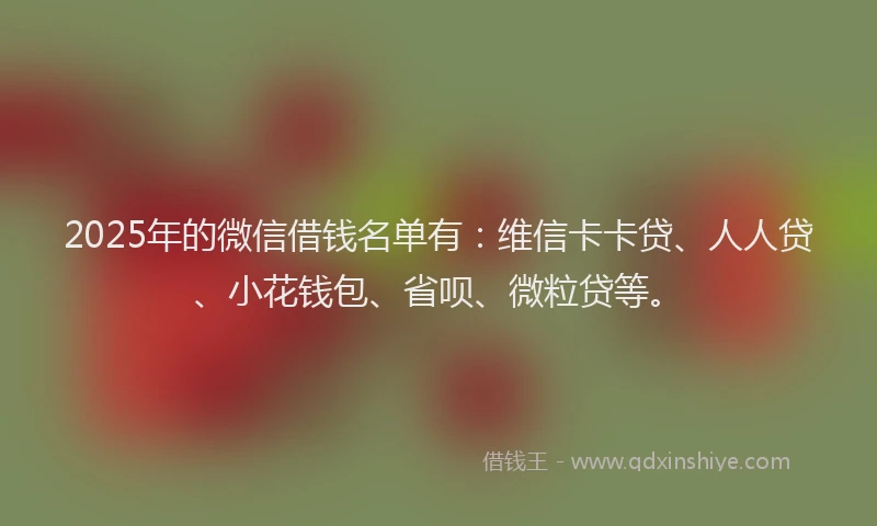 2025年的微信借钱名单有：维信卡卡贷、人人贷、小花钱包、省呗、微粒贷等。