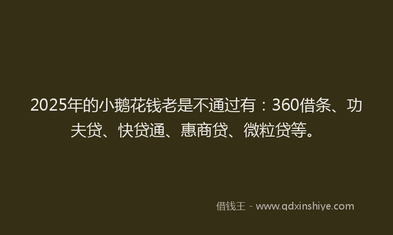 2025年的小鹅花钱老是不通过有：360借条、功夫贷、快贷通、惠商贷、微粒贷等。