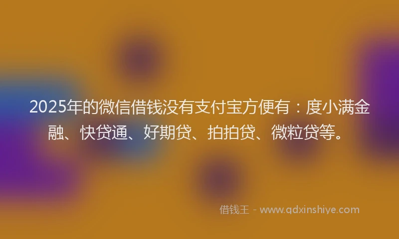 2025年的微信借钱没有支付宝方便有：度小满金融、快贷通、好期贷、拍拍贷、微粒贷等。