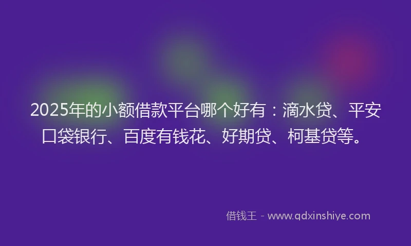 2025年的小额借款平台哪个好有：滴水贷、平安口袋银行、百度有钱花、好期贷、柯基贷等。