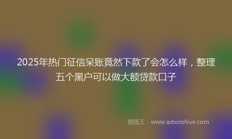 2025年热门征信呆账竟然下款了会怎么样，整理五个黑户可以做大额贷款口子