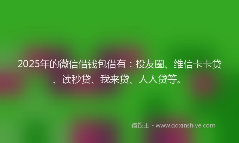 2025年的微信借钱包借有：投友圈、维信卡卡贷、读秒贷、我来贷、人人贷等。