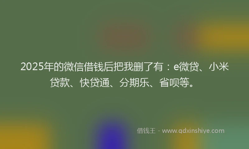 2025年的微信借钱后把我删了有：e微贷、小米贷款、快贷通、分期乐、省呗等。