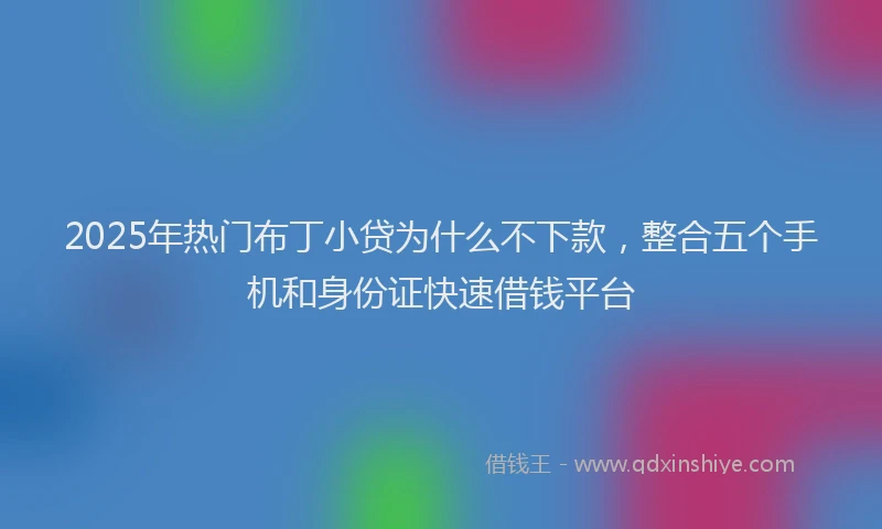 2025年热门布丁小贷为什么不下款，整合五个手机和身份证快速借钱平台
