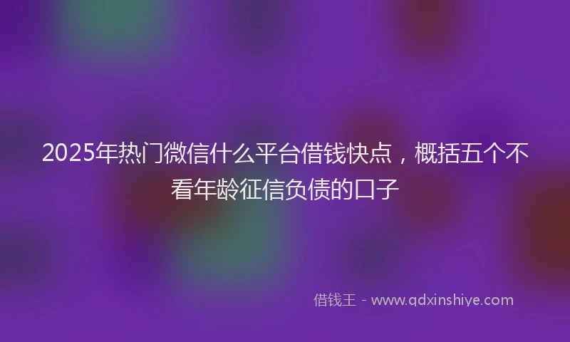 2025年热门微信什么平台借钱快点，概括五个不看年龄征信负债的口子