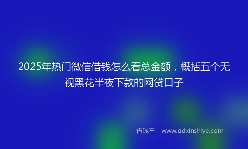 2025年热门微信借钱怎么看总金额，概括五个无视黑花半夜下款的网贷口子