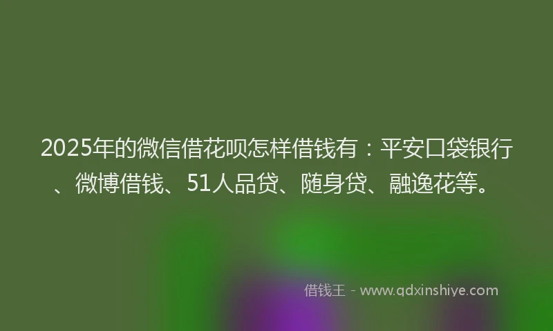 2025年的微信借花呗怎样借钱有：平安口袋银行、微博借钱、51人品贷、随身贷、融逸花等。