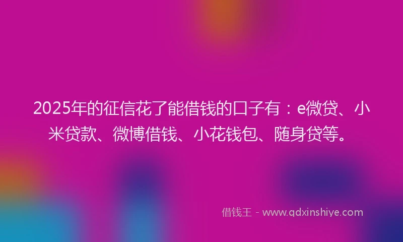 2025年的征信花了能借钱的口子有：e微贷、小米贷款、微博借钱、小花钱包、随身贷等。