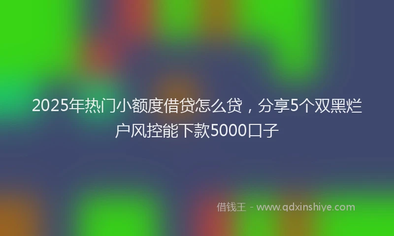 2025年热门小额度借贷怎么贷，分享5个双黑烂户风控能下款5000口子