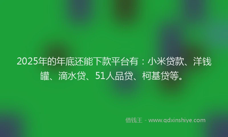 2025年的年底还能下款平台有：小米贷款、洋钱罐、滴水贷、51人品贷、柯基贷等。