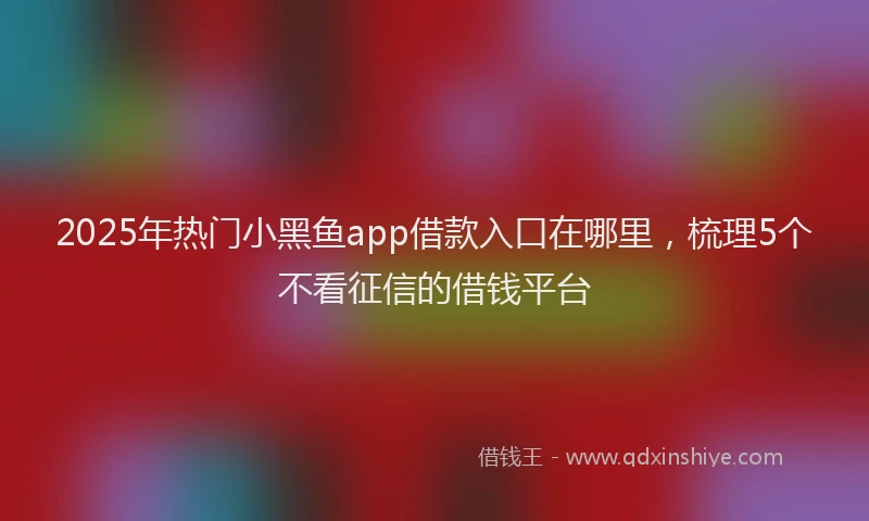 2025年热门小黑鱼app借款入口在哪里，梳理5个不看征信的借钱平台