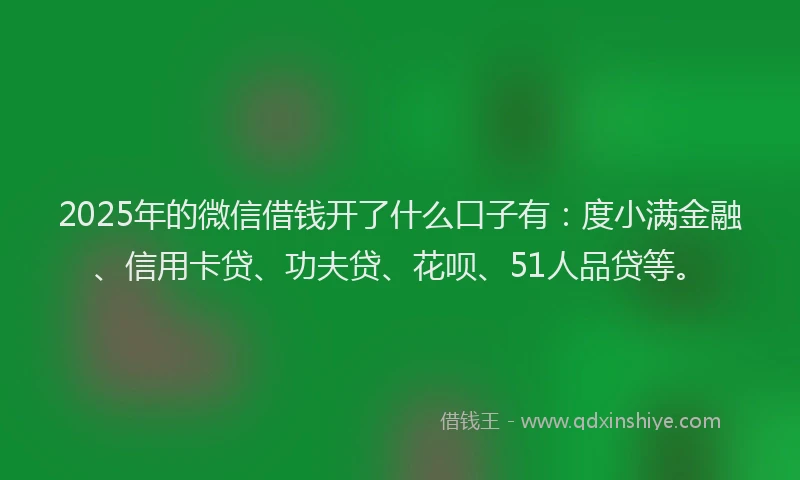 2025年的微信借钱开了什么口子有：度小满金融、信用卡贷、功夫贷、花呗、51人品贷等。