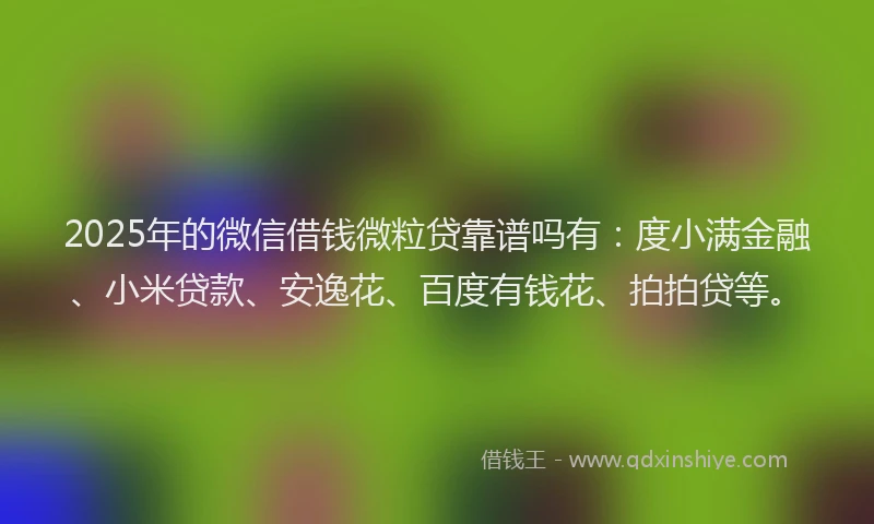 2025年的微信借钱微粒贷靠谱吗有：度小满金融、小米贷款、安逸花、百度有钱花、拍拍贷等。