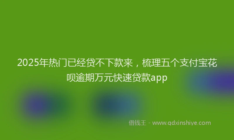 2025年热门已经贷不下款来，梳理五个支付宝花呗逾期万元快速贷款app