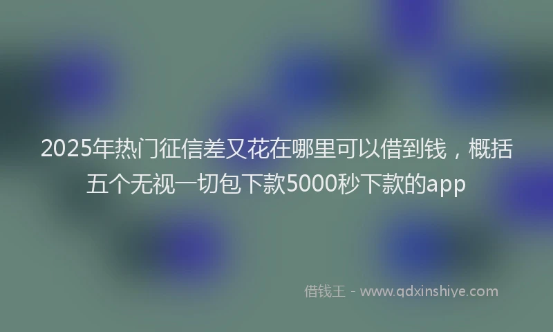2025年热门征信差又花在哪里可以借到钱，概括五个无视一切包下款5000秒下款的app