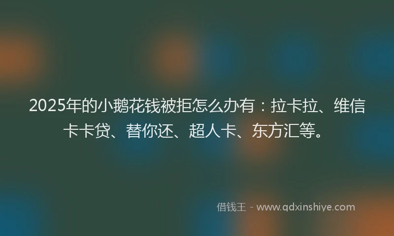 2025年的小鹅花钱被拒怎么办有：拉卡拉、维信卡卡贷、替你还、超人卡、东方汇等。