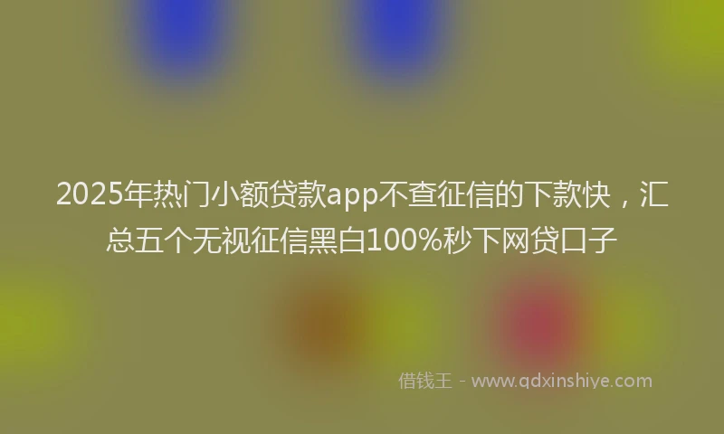 2025年热门小额贷款app不查征信的下款快，汇总五个无视征信黑白100%秒下网贷口子