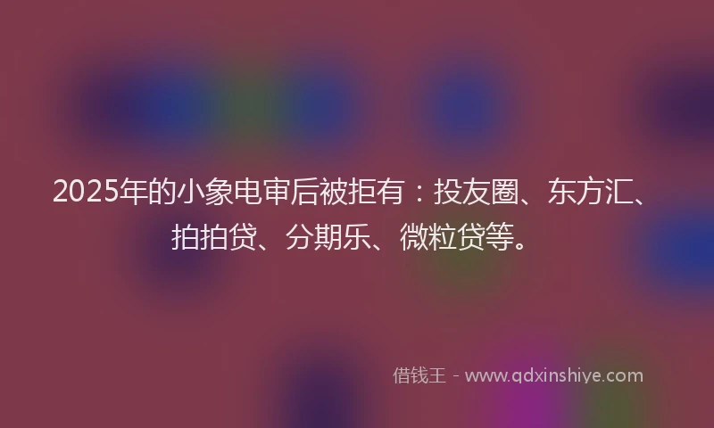 2025年的小象电审后被拒有：投友圈、东方汇、拍拍贷、分期乐、微粒贷等。