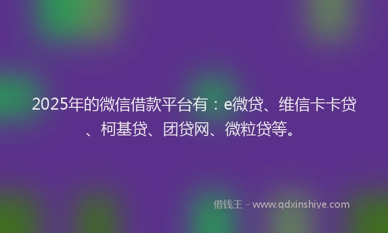 2025年的微信借款平台有：e微贷、维信卡卡贷、柯基贷、团贷网、微粒贷等。
