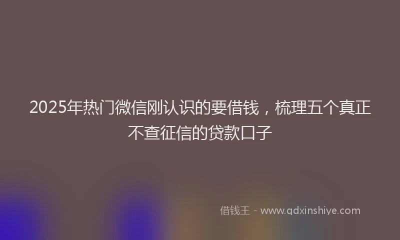 2025年热门微信刚认识的要借钱，梳理五个真正不查征信的贷款口子