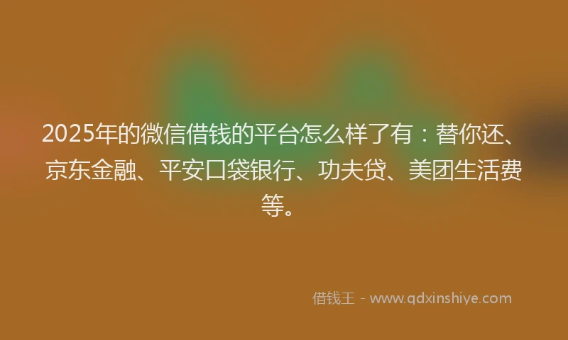 2025年的微信借钱的平台怎么样了有：替你还、京东金融、平安口袋银行、功夫贷、美团生活费等。