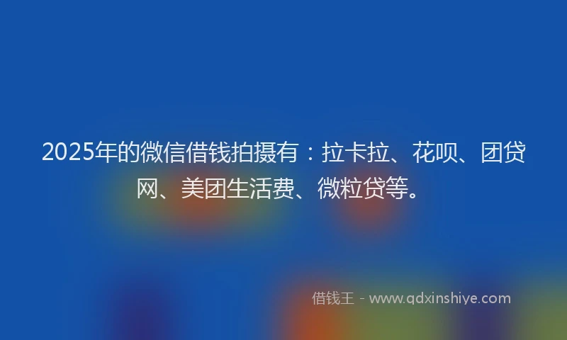 2025年的微信借钱拍摄有：拉卡拉、花呗、团贷网、美团生活费、微粒贷等。