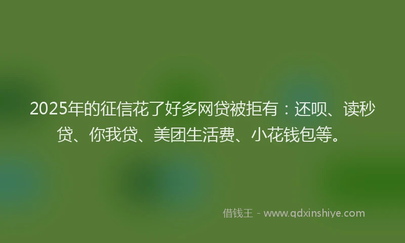 2025年的征信花了好多网贷被拒有：还呗、读秒贷、你我贷、美团生活费、小花钱包等。