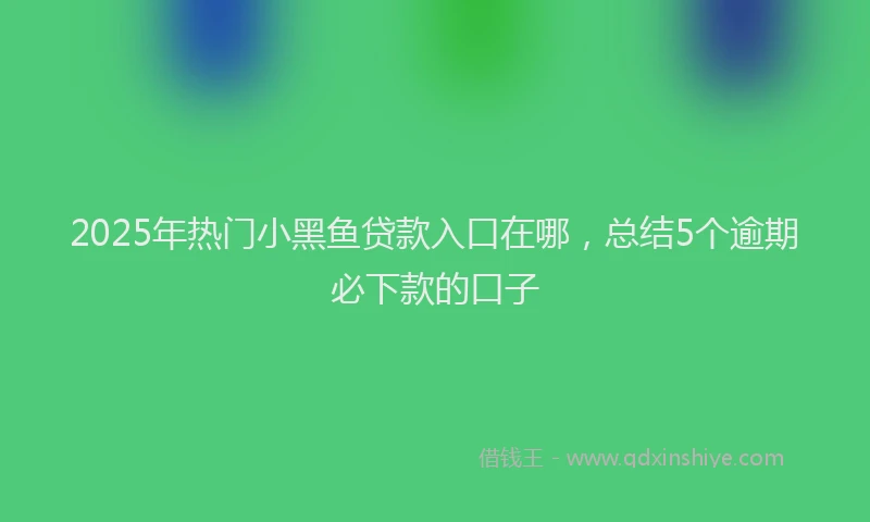 2025年热门小黑鱼贷款入口在哪，总结5个逾期必下款的口子