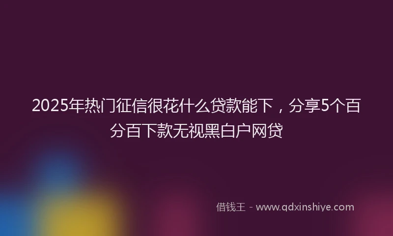 2025年热门征信很花什么贷款能下，分享5个百分百下款无视黑白户网贷