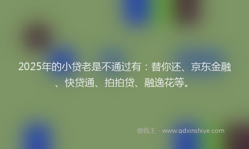 2025年的小贷老是不通过有：替你还、京东金融、快贷通、拍拍贷、融逸花等。