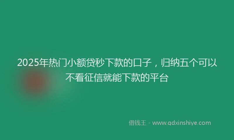 2025年热门小额贷秒下款的口子，归纳五个可以不看征信就能下款的平台