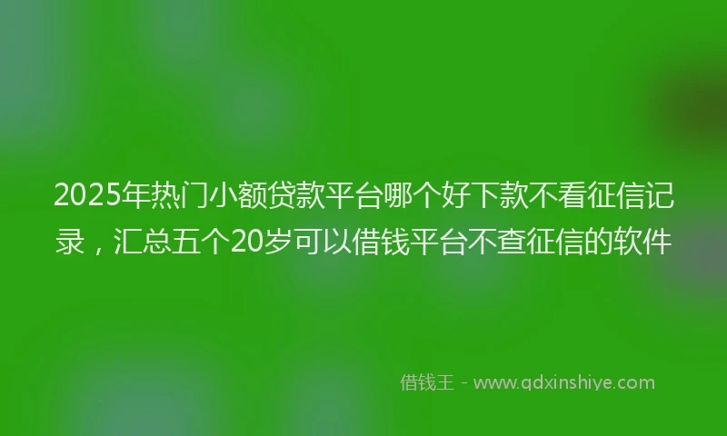 2025年热门小额贷款平台哪个好下款不看征信记录，汇总五个20岁可以借钱平台不查征信的软件