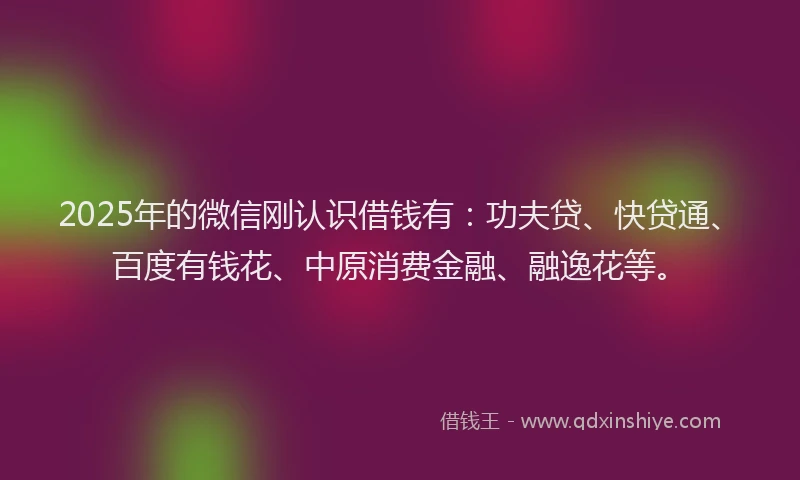 2025年的微信刚认识借钱有：功夫贷、快贷通、百度有钱花、中原消费金融、融逸花等。