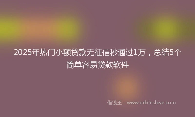 2025年热门小额贷款无征信秒通过1万，总结5个简单容易贷款软件