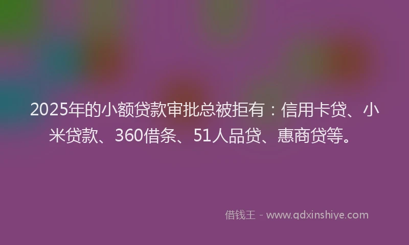 2025年的小额贷款审批总被拒有：信用卡贷、小米贷款、360借条、51人品贷、惠商贷等。
