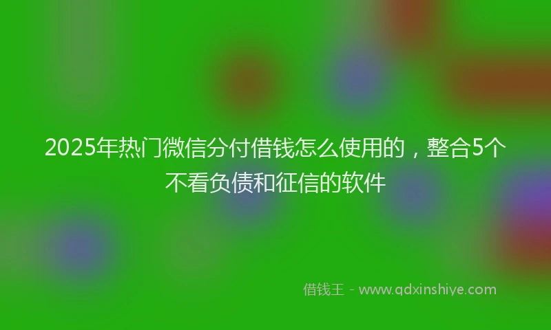 2025年热门微信分付借钱怎么使用的，整合5个不看负债和征信的软件