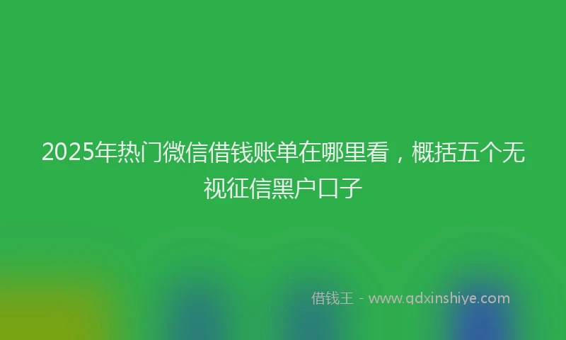 2025年热门微信借钱账单在哪里看，概括五个无视征信黑户口子