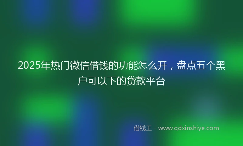 2025年热门微信借钱的功能怎么开，盘点五个黑户可以下的贷款平台