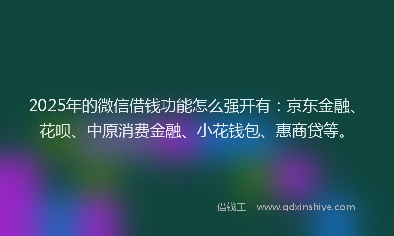 2025年的微信借钱功能怎么强开有：京东金融、花呗、中原消费金融、小花钱包、惠商贷等。