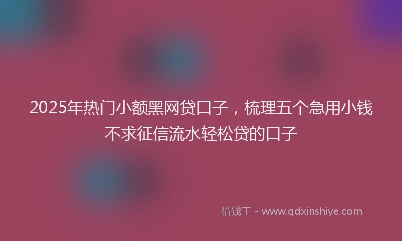 2025年热门小额黑网贷口子，梳理五个急用小钱不求征信流水轻松贷的口子