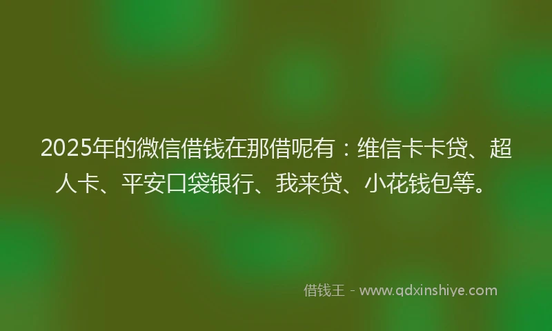 2025年的微信借钱在那借呢有：维信卡卡贷、超人卡、平安口袋银行、我来贷、小花钱包等。