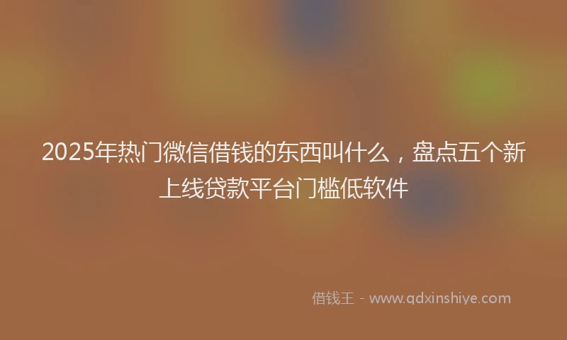 2025年热门微信借钱的东西叫什么，盘点五个新上线贷款平台门槛低软件