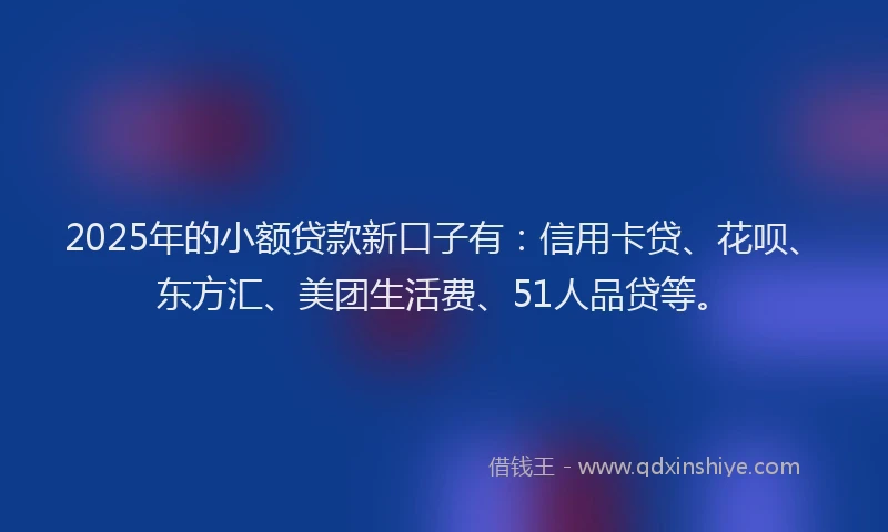 2025年的小额贷款新口子有：信用卡贷、花呗、东方汇、美团生活费、51人品贷等。