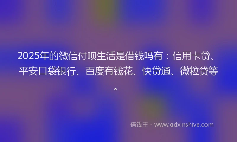 2025年的微信付呗生活是借钱吗有：信用卡贷、平安口袋银行、百度有钱花、快贷通、微粒贷等。