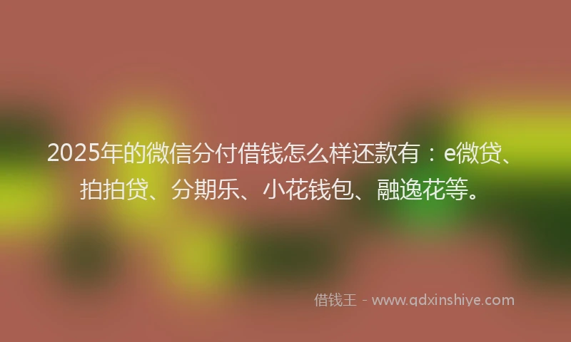 2025年的微信分付借钱怎么样还款有：e微贷、拍拍贷、分期乐、小花钱包、融逸花等。